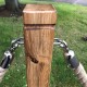 Character Oak Rope Barrier Post with Steel Base  (MOQ 3 Units)